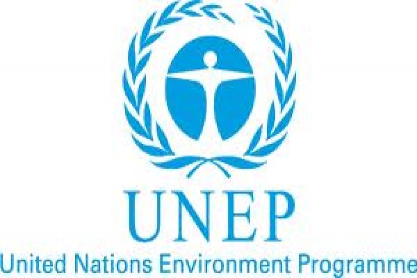 UNIC-WWF-UNEP kerja sama selamatkan satwa liar Indonesia