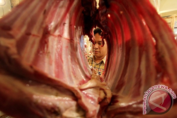 Pemerintah percepat impor daging sapi Pemerintah percepat impor daging sapi