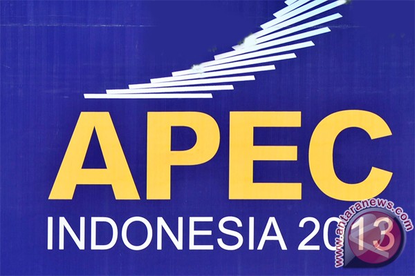 Indonesia rancang perjalanan antarnegara APEC yang cepat Indonesia rancang perjalanan antarnegara APEC yang cepat