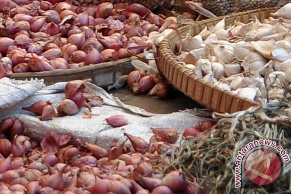 Harga turun, distributor bawang mengeluh Harga turun, distributor bawang mengeluh