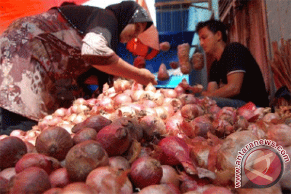 Harga bawang putih turun drastis Harga bawang putih turun drastis