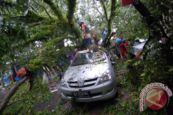 Bogor dilanda longsor dan pohon tumbang Bogor dilanda longsor dan pohon tumbang
