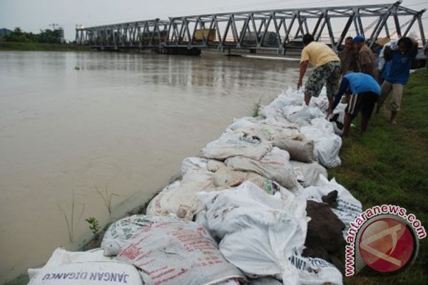 Tanggul Sungai Wulan di Demak jebol Tanggul Sungai Wulan di Demak jebol