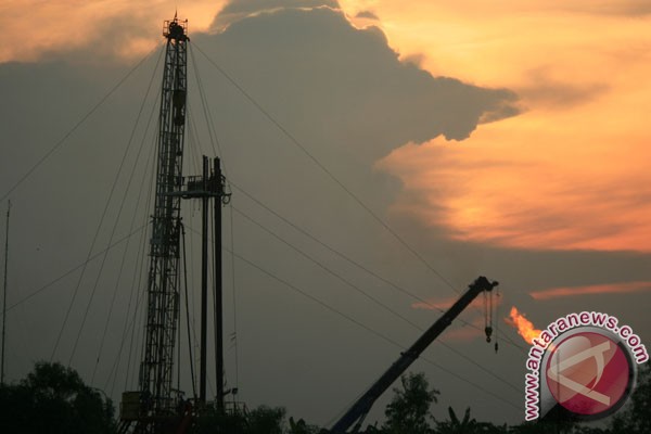 Harga minyak melonjak dipicu rencana pengurangan pengeboran Saudi Harga minyak melonjak dipicu rencana pengurangan pengeboran Saudi