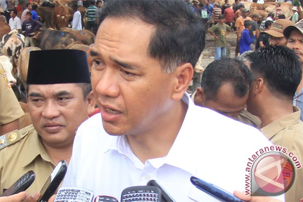 Pemerintah komitmen turunkan daging sapi sebelum Ramadan Pemerintah komitmen turunkan daging sapi sebelum Ramadan