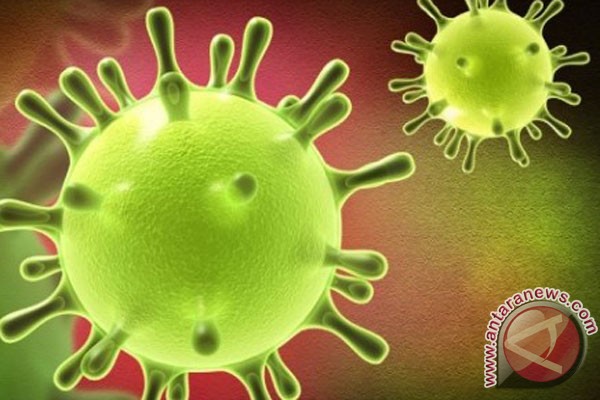 Arab Saudi dihebohkan virus mirip SARS Arab Saudi dihebohkan virus mirip SARS