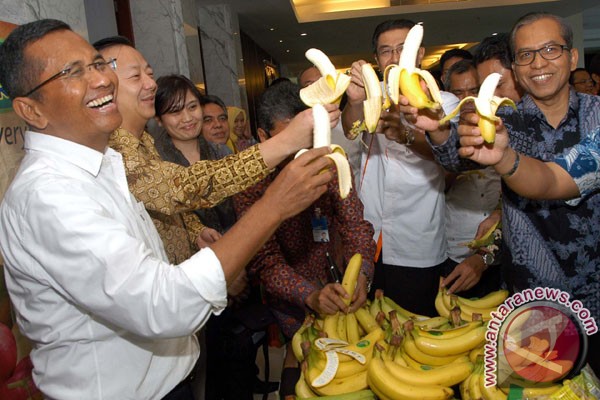 Festival bunga dan buah nusantara digelar di Bogor Festival bunga dan buah nusantara digelar di Bogor