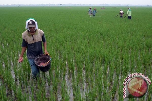 Cirebon kekurangan waduk Cirebon kekurangan waduk