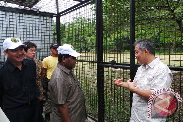 Pemerintah apresiasi konservasi alam Tambling Lampung Pemerintah apresiasi konservasi alam Tambling Lampung