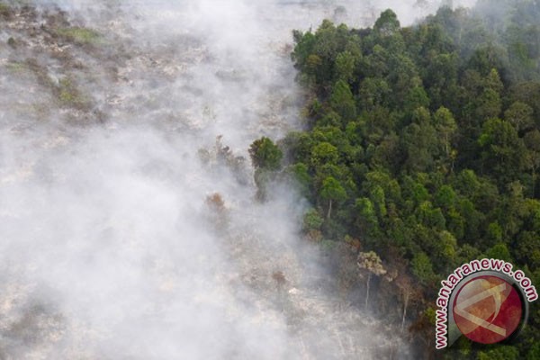 BKSDA: Kalteng siaga II kebakaran hutan dan lahan BKSDA: Kalteng siaga II kebakaran hutan dan lahan
