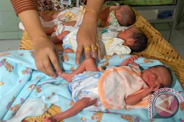Lima bayi kembar lahir di Surabaya