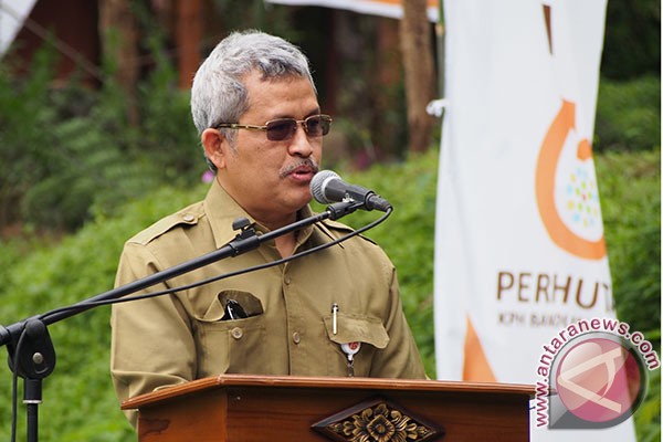 Laba Perhutani semester I 2013 capai Rp466 miliar Laba Perhutani semester I 2013 capai Rp466 miliar
