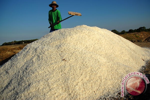 Kadar garam Madura capai 95,4 persen