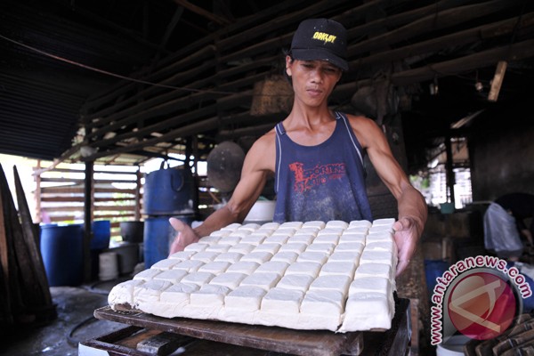 Harga kedelai naik, ukuran tahu tempe menciut Harga kedelai naik, ukuran tahu tempe menciut