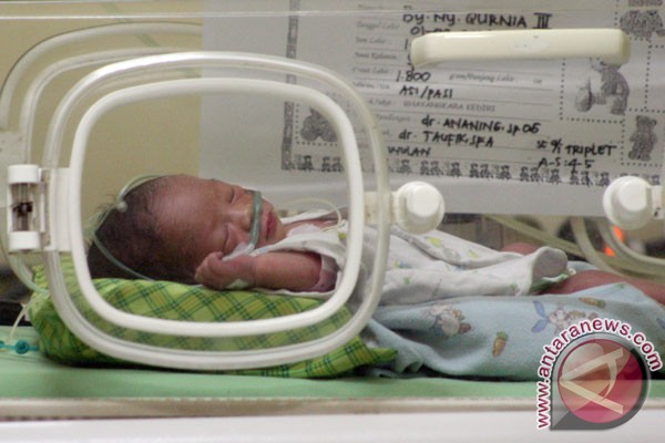 RS Sardjito berkomitmen intensifkan program bayi tabung RS Sardjito berkomitmen intensifkan program bayi tabung