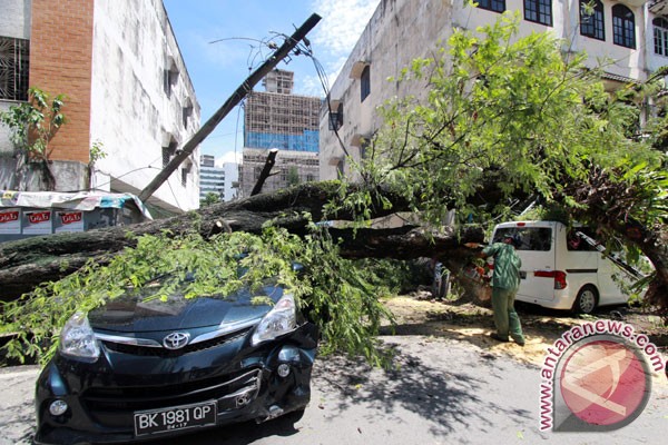 Pohon tumbang timpa tiga mobil di Padang Pohon tumbang timpa tiga mobil di Padang
