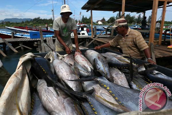 Tuna Aceh diekspor ke 6 negara