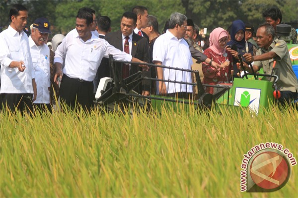 Indonesia can achieve rice self-sufficiency this year Indonesia can achieve rice self-sufficiency this year