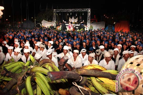 Petani Baduy panen raya padi huma Petani Baduy panen raya padi huma