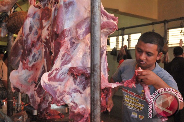 Harga daging sapi kembali normal