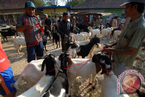 Kemenag diminta koordinasi pembayaran 
