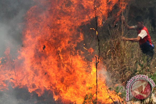 Pemerintah keluarkan dana penanggulangan bencana asap Rp500 miliar