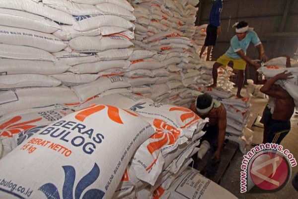 pemerintah kembali beli impor beras foto antara news pemerintah kembali beli impor beras foto antara news