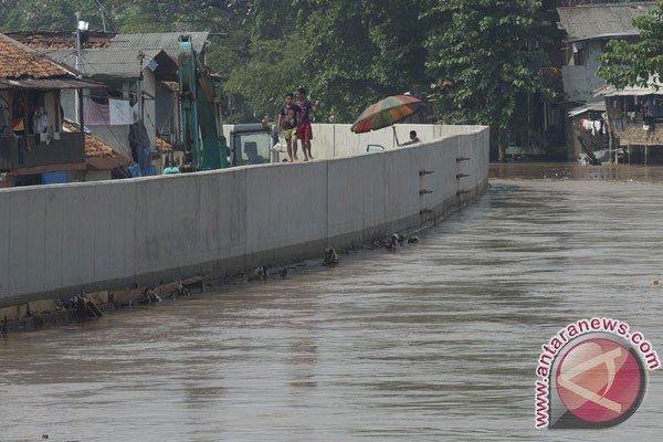 Ciliwung lebih cocok untuk wisata, kata Ahok