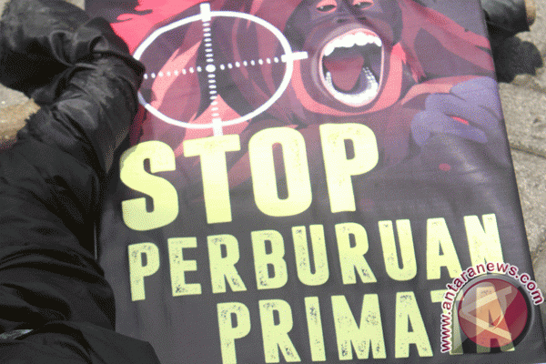 Polda Riau gagalkan perdagangan Primata dilindungi
