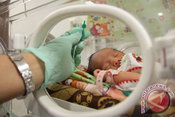Bayi tabung kembar empat Surabaya lahir sehat