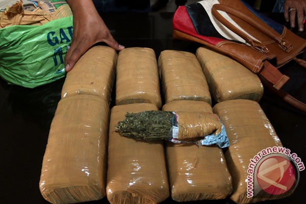 Polisi tangkap pemuda bawa narkoba jenis ganja Polisi tangkap pemuda bawa narkoba jenis ganja