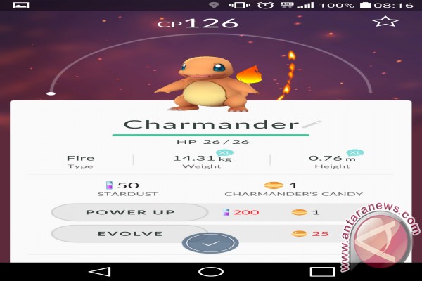 12 tips bermain Pokemon GO 12 tips bermain Pokemon GO