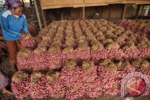 Image Result For Manfaat Minyak Zaitun Dan Bawang Merah Image Result For Manfaat Minyak Zaitun Dan Bawang Merah