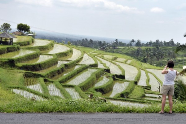 Bali adjudged best island for 12th successive year Bali adjudged best island for 12th successive year