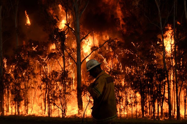 19 tewas dalam kebakaran hutan di Portugal