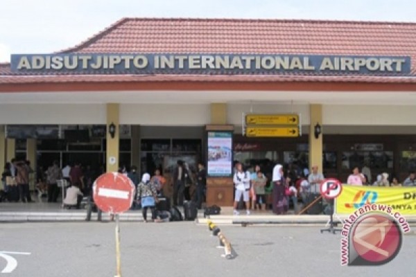 Yogyakarta airport authority foils attempt to smuggle dozens of reptiles Yogyakarta airport authority foils attempt to smuggle dozens of reptiles
