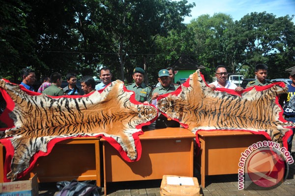 Indikator perdagangan kulit kepala