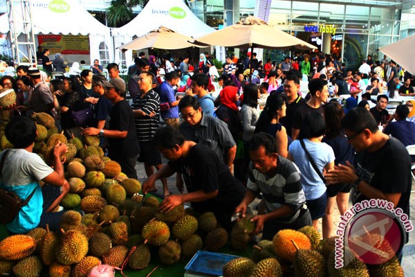 Durian bhineka bawor khas Banyumas diminati wisatawan
