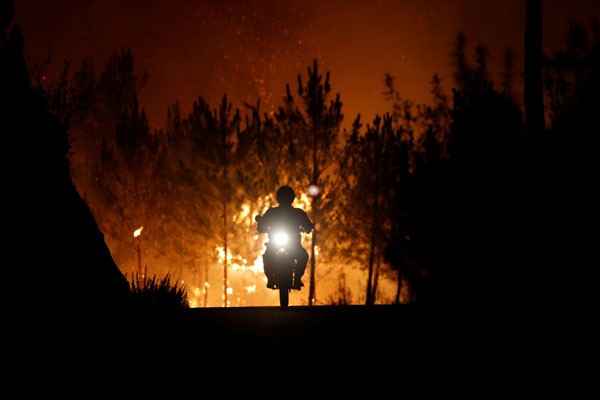 Kebakaran hutan tewaskan 39 orang di Portugal dan Spanyol