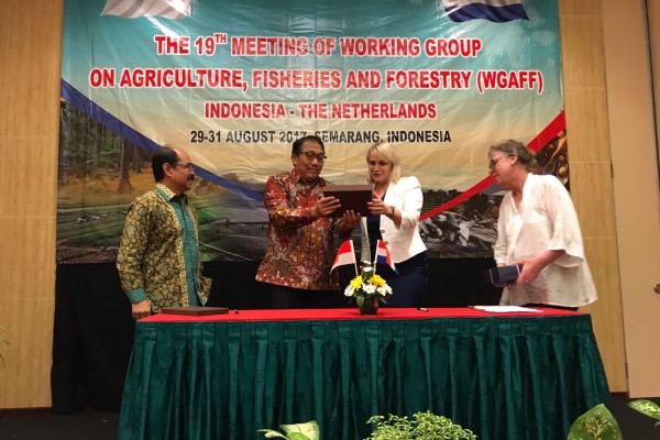 Belanda tertarik pengembangan bawang merah Indonesia