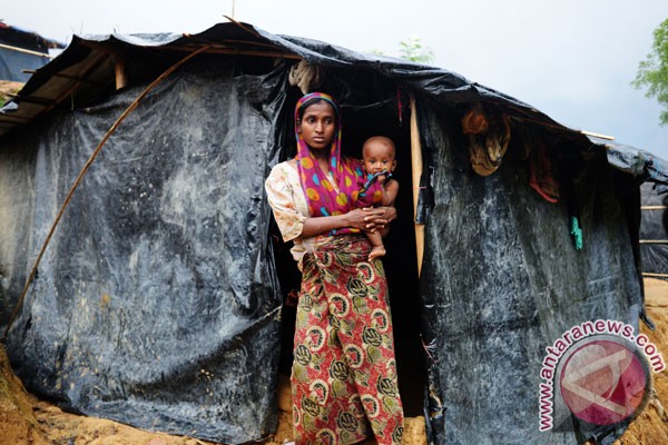 Solusi krisis Rohingya menurut Rohingya