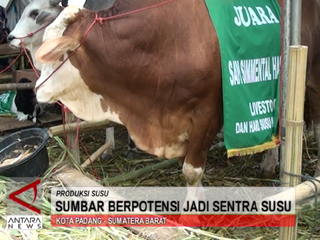 Sumbar Berpotensi Jadi Sentra Susu
