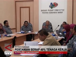 Pertanian Serap 40 Persen Tenaga Kerja 