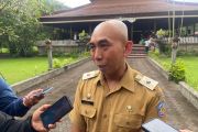 Pemprov lihat penerapan pertama WFH di Bali berjalan efektif