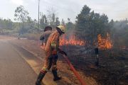 Kebakaran lahan empat hektare di Bintan-Kepri berhasil dipadamkan