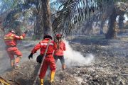 Manggala Agni padamkan Karhutla di Dumai, Bengkalis, dan Siak