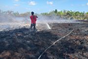 Pekan pertama Februari, luas lahan terbakar di Riau sudah mencapai 126,22 hektare