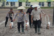 Polda Sultra tanam jagung di lahan 16 hektare dukung swasembada pangan
