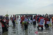 Kawasan rob jadi objek wisata perikanan di Batang