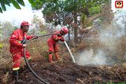 Pulau Mendol kembali membara, Manggala Agni data satu lokasi terbakar 4 hektare